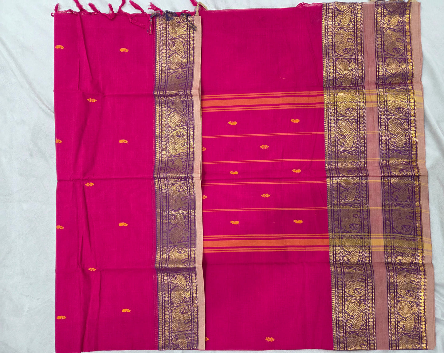 Kanchi Cotton with Big Border